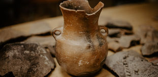 小學中學幼兒到校課程