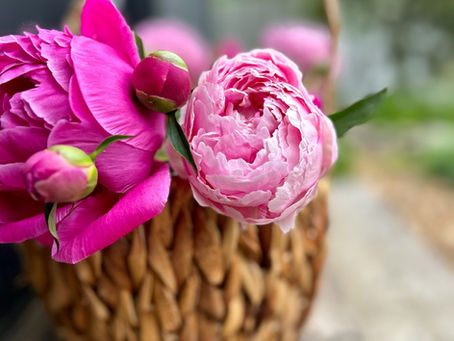 Stop Calling It Self-Care — Building Systems That Actually Protect Montessori Teachers