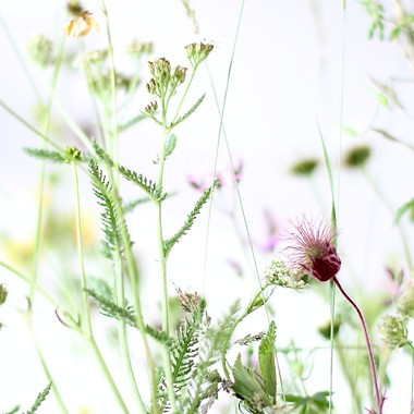 Image by Katrin Hauf