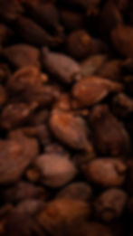 Dark Chocolate