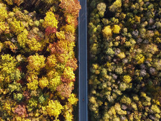 Carbon Showdown: Alberta VS. British Columbia – Who's taxing it right?