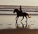 balade a cheval sur la plage