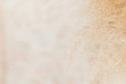 Image by Hannah MacLean