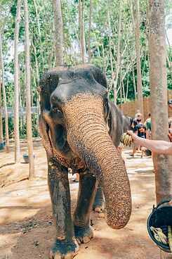 Image by Daniel Bernard