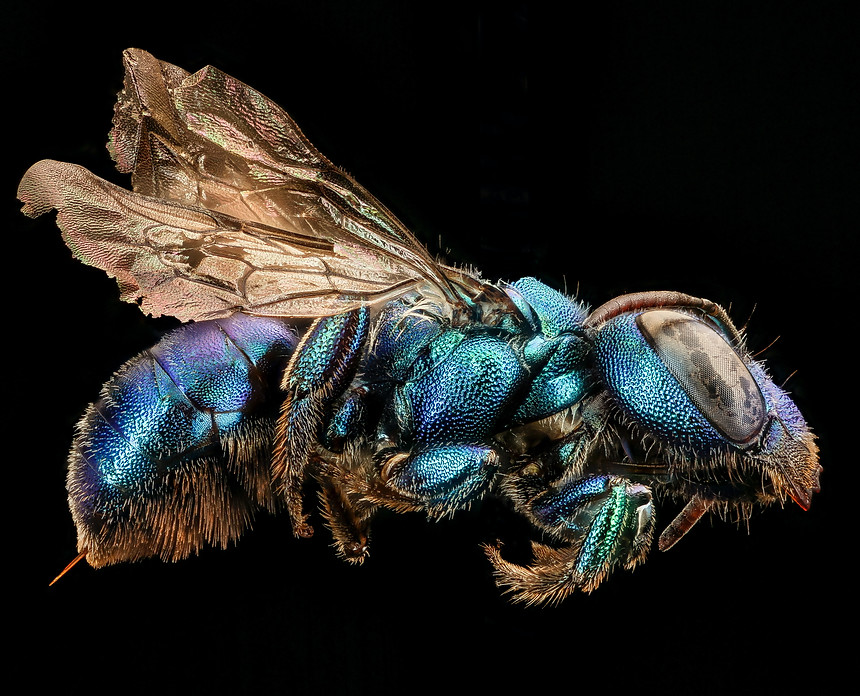 Image by USGS