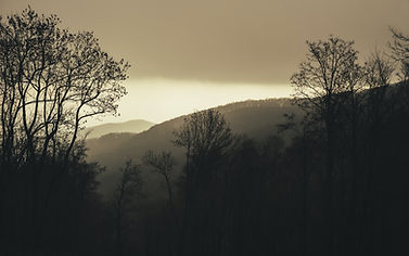 Image by Norbert Buduczki