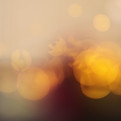 Image by amjd rdwan