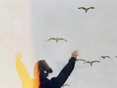 Watch Her Soar
