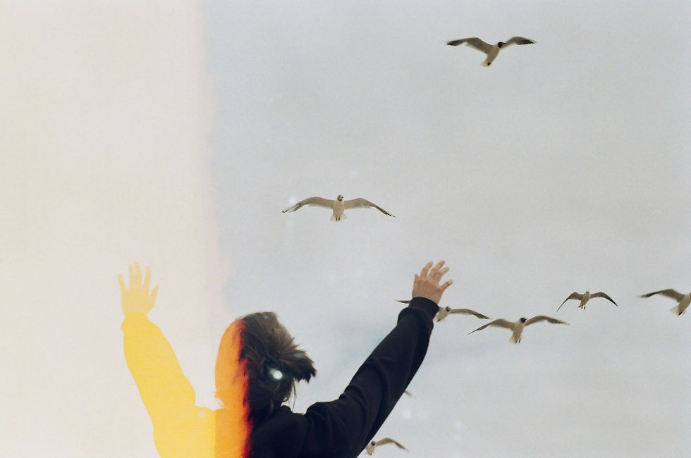 woman with hands up towards the sky full of birds