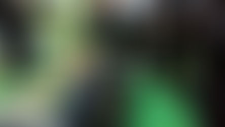 Gehalt von Bestattungsfachkräften in der Schweiz: Einblicke in Vergütung und berufliche Perspektiven