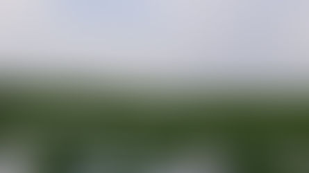 CBS Miami: Florida Governor DeSantis Makes SFWMD Appointments, Seeks $625 Million For Everglades
