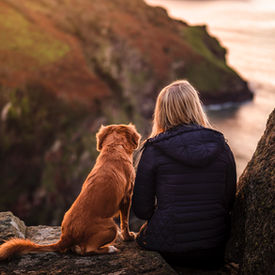The Best Places to Live in Spain With a Dog: A Region-by-Region Guide for Expats