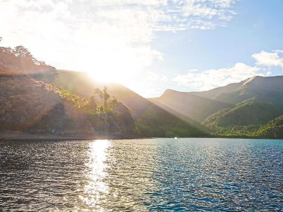 Rundreise Neuseeland I Highlights Südinsel New Zealand I Marlborough District I endless_footsteps