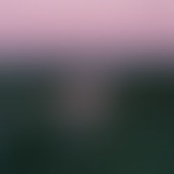 Week 48 (24 - 30 Nov): The Quiet Work of God Among Us