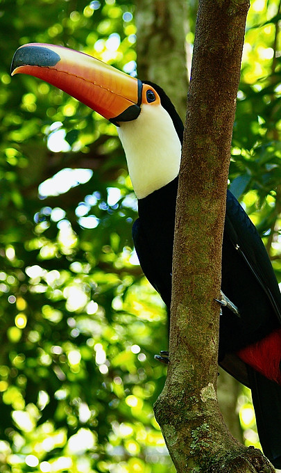 Image by Peter Burdon