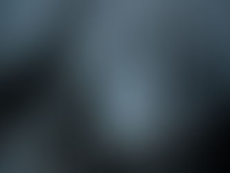 Crepe Myrtle Tree - By: Anuska Sarkar