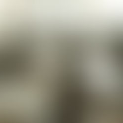 The politics of free speech in US schools today