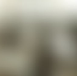 Foley v. Special School District of St. Louis (1998)