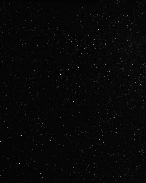 Image by Kenny Eliason