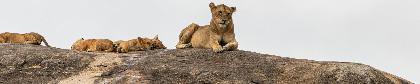 Image by Glen Michaelsen