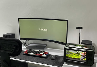 Image by Trần Quang Phú