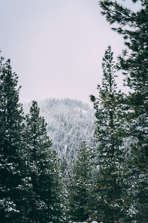 Image by David Barajas