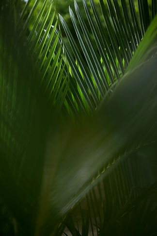 Image by Jabber Visuals