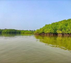 Image by Vishwasa Navada K