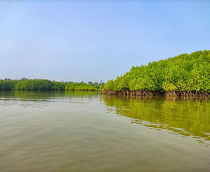 Image by Vishwasa Navada K