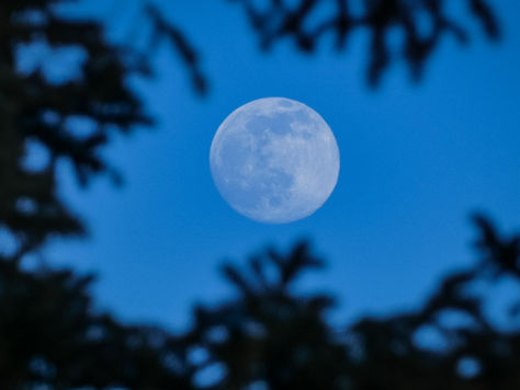 blue moon