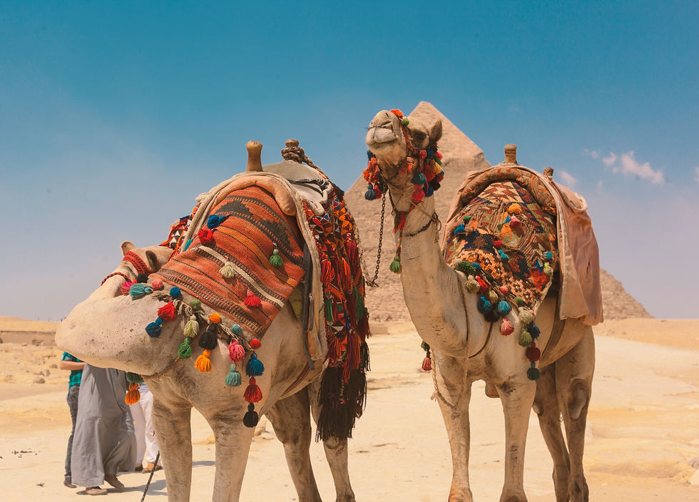 Camel ride near the pyramids in Egypt as part of a Nile River cruise vacation