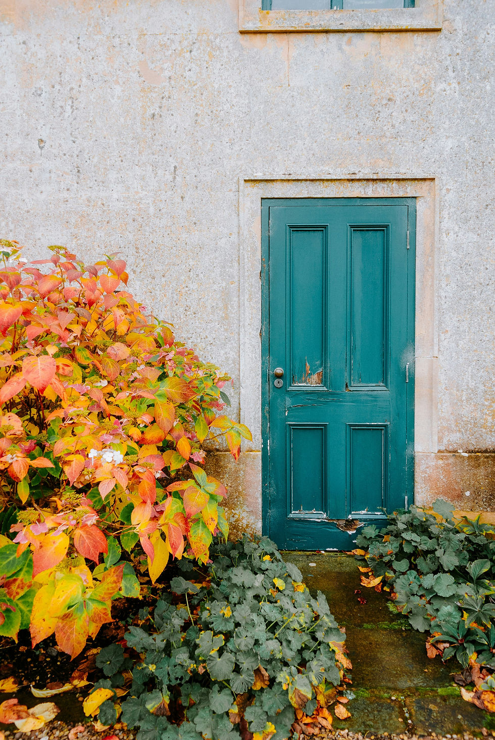 A door and wall with flaky paint
