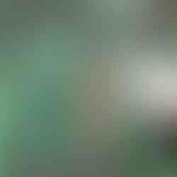 A green metal gate featuring the Star of David (Magen David) leading to a private courtyard in the Safed Artists' Colony.