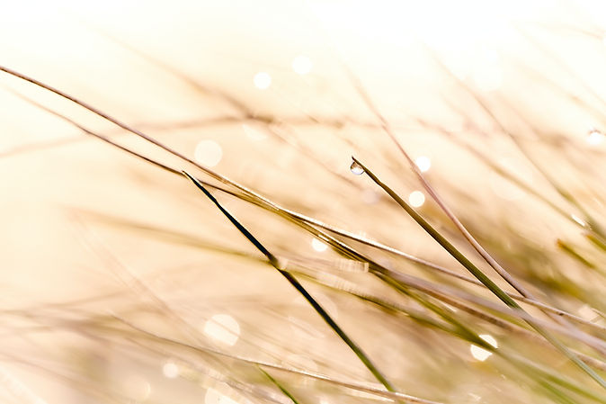 Image de Bruno Kelzer