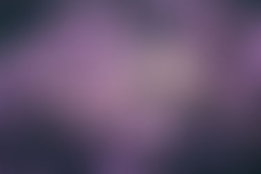 Lavender (Lavandula) Magic of Nature