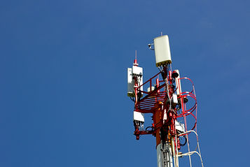 Image by Dena Skulskaya