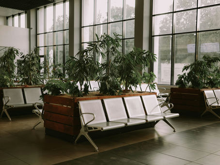 Healthcare in France for expats CPAM waiting room system France