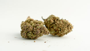 Quel produit CBD Choisir : Guide Complet par Maison Barnabelle