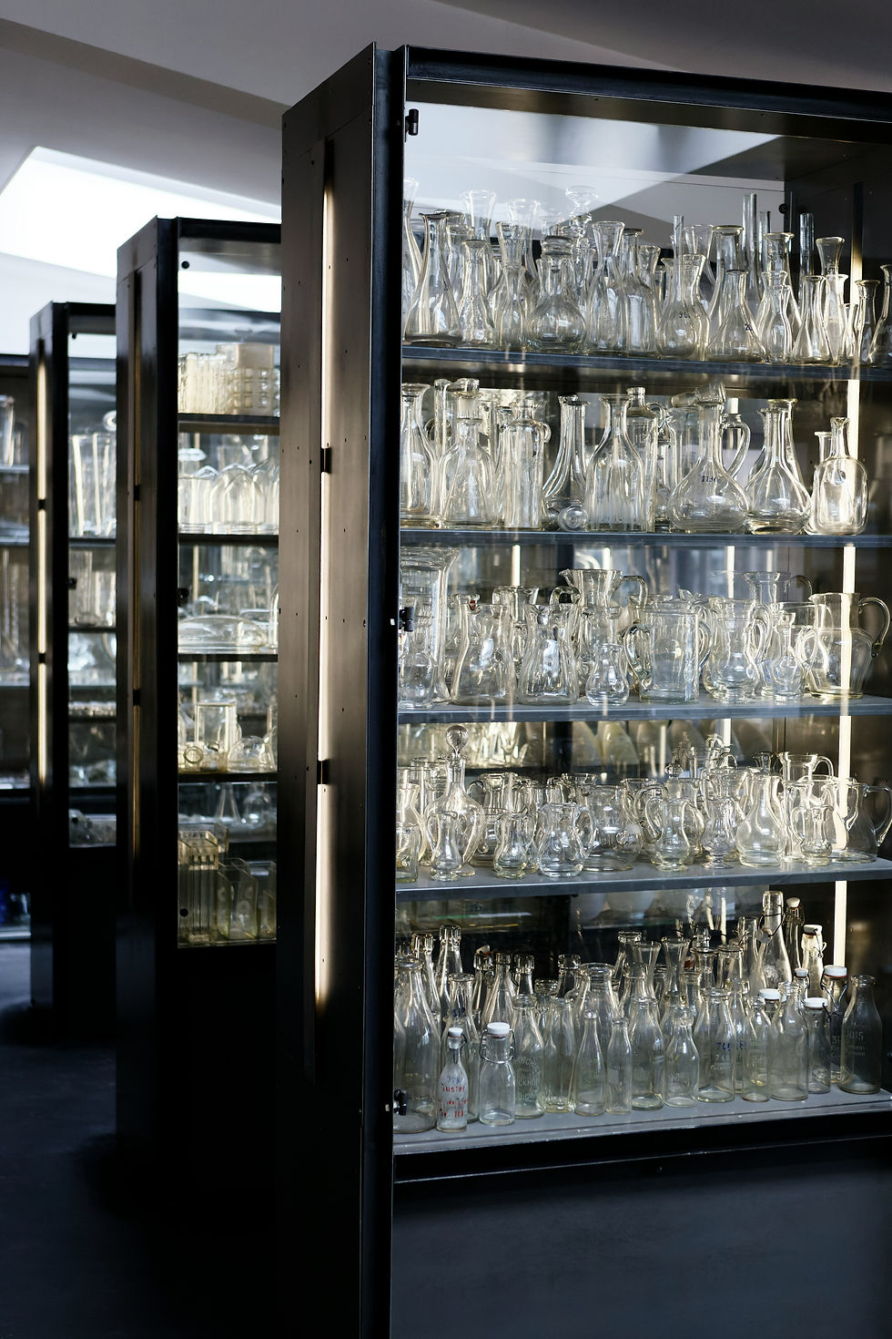 Image by Stefan Lehner