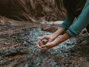 Taking Refuge in the Senses