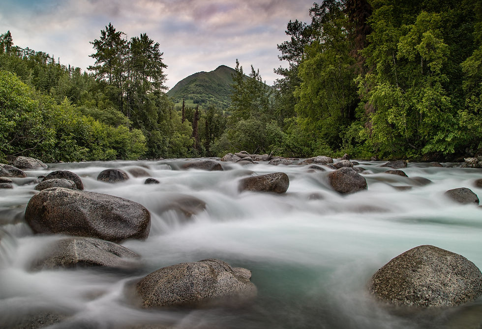 Image by John Thomas