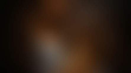 אונקלוס - ראש פרשני האמת (חלק יד)