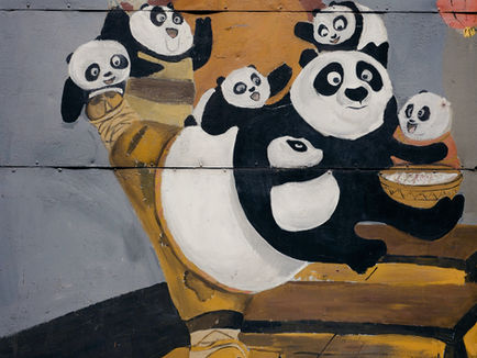 The Pretty Privilege of Pandas
