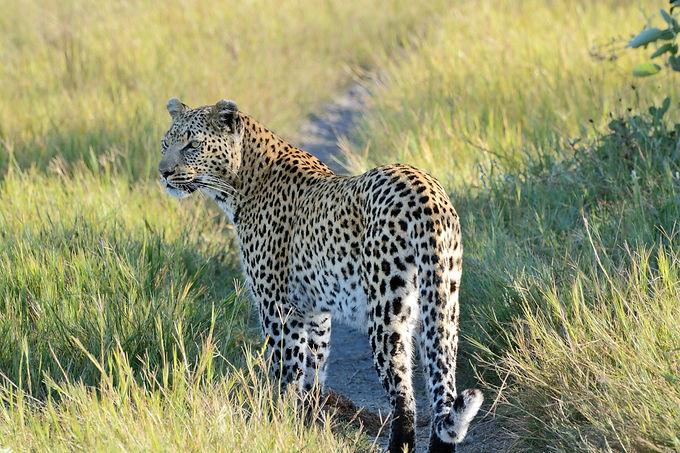 Image by Colin Watts