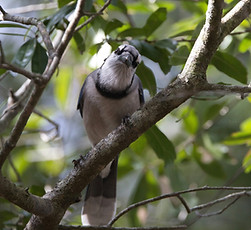 Image by David Valentine