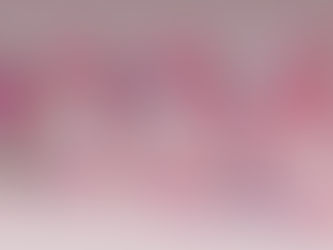 Pink numbers on white background: 2026