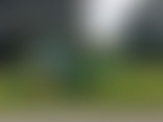 Landscapers Bookkeeping