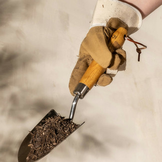 Éviter le bêchage profond et le retournement de la terre