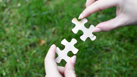 Two pieces of a jigsaw puzzle