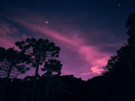 If the cosmos could bloom from a single seed, what are you still afraid to plant?